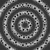 circle_packing_image.pde
