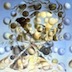 circle_packing_img_onscreen.pde
