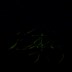 fireflies.pde
