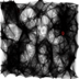 particle_awareness_study.pde
